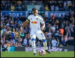 Belgian footballer